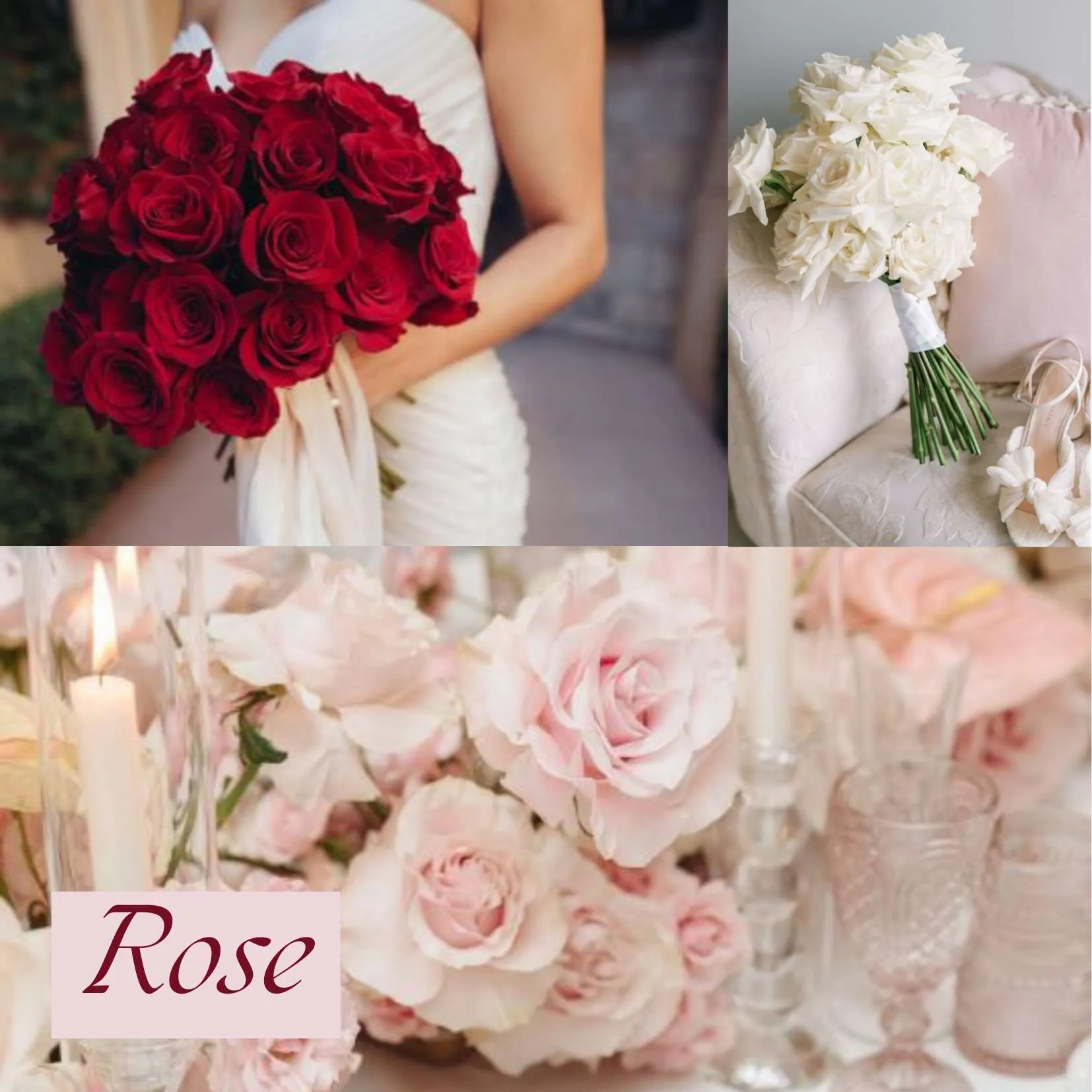 ดอกไม้ในวันแต่งงาน - ดอกกุหลาบ (Rose)