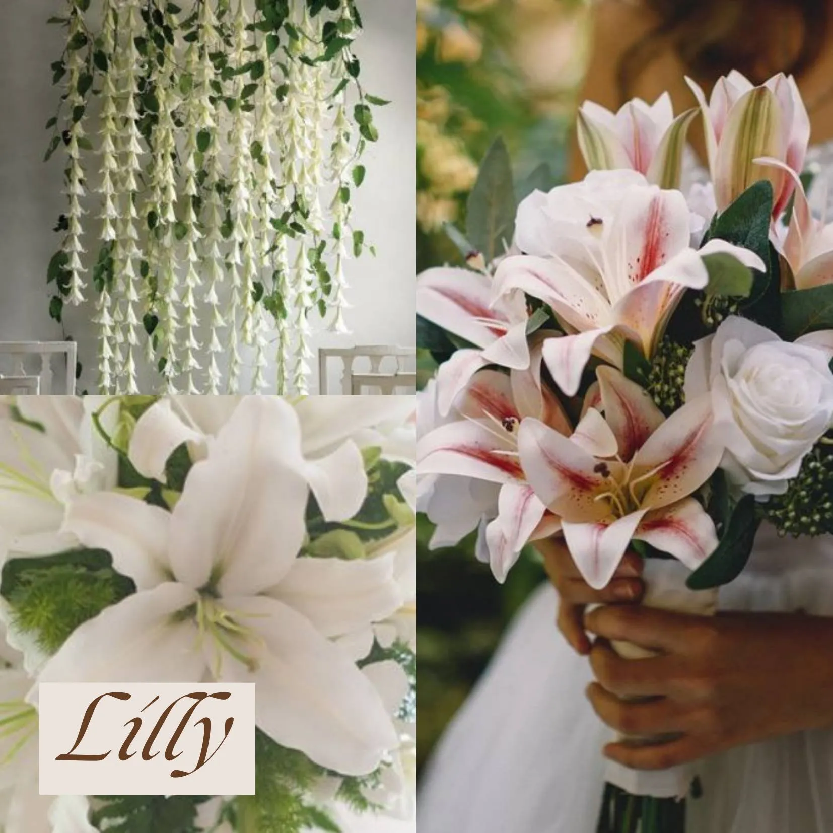 ดอกไม้ในวันแต่งงาน - ดอกลิลลี่ (Lilly)