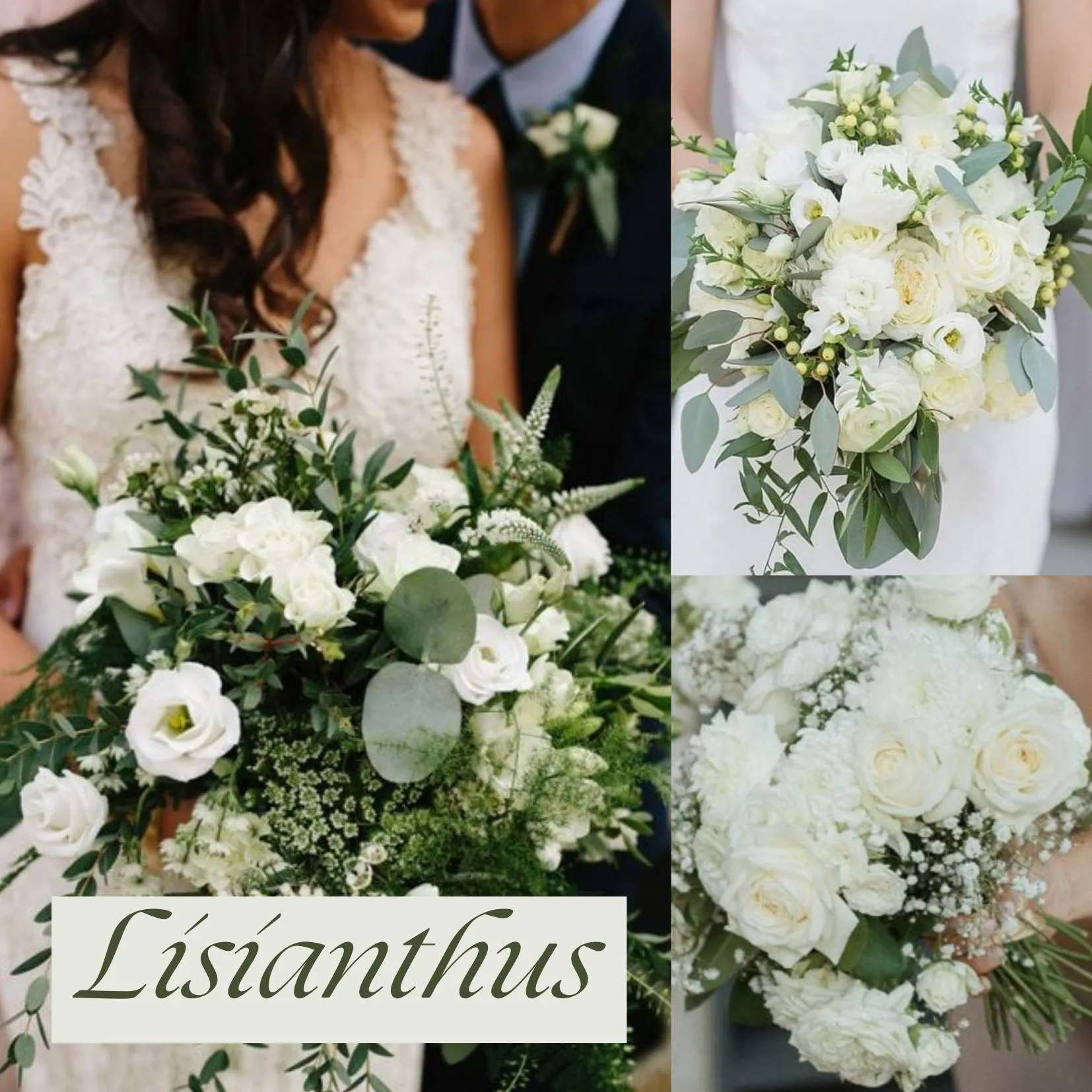 ดอกไม้ในวันแต่งงาน - ดอกไลเซนทัส (Lisianthus)